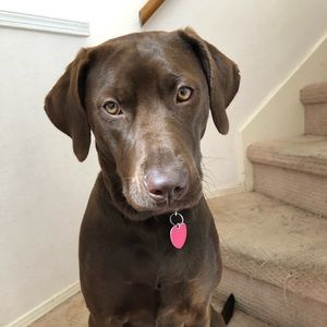 Meet your Posher, Kelley